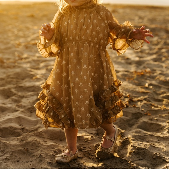 NORALEE Mirabelle Dress in Daisy Print Size 2 - Picture 1 of 10